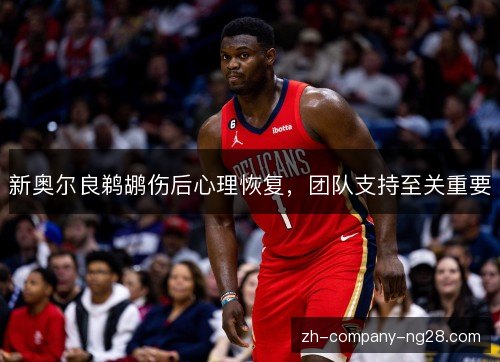 新奥尔良鹈鹕伤后心理恢复,团队支持至关重要 新奥尔良鹈鹕伤后心理恢复,团队支持至关重要