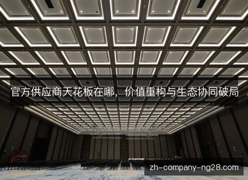 官方供应商天花板在哪,价值重构与生态协同破局 官方供应商天花板在哪,价值重构与生态协同破局